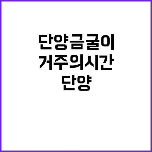 단양 금굴이 전하는 거주의 시간