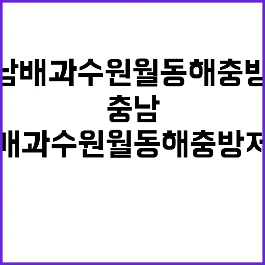 충남 배 과수원 월동 해충 방제 시기 앞당겨라
