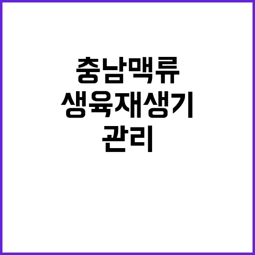 충남 맥류 생육재생기 집중 관리법
