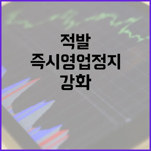 바가지요금 적발 즉시 영업정지 강화