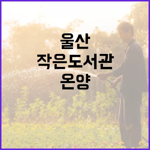 울산 온양 북카페, 지식과 휴식의 작은 도서관