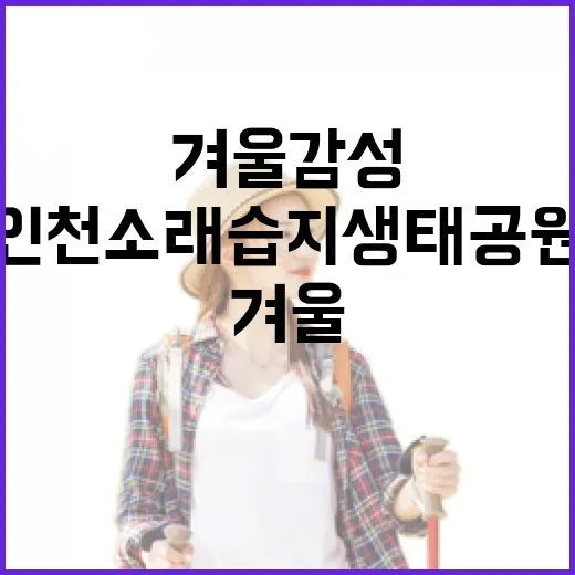 겨울 감성 가득한 인천 소래습지생태공원 산책