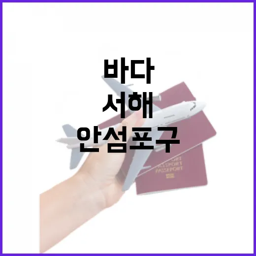 안섬 포구, 서해의 평온한 바다 산책길