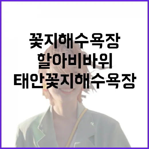 태안 꽃지해수욕장 할아비바위 붕괴 현황