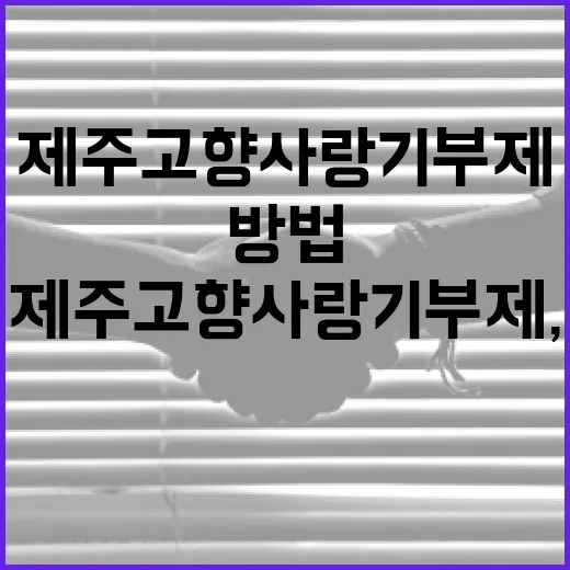 제주 고향사랑기부제, 제주 응원하는 새로운 방법