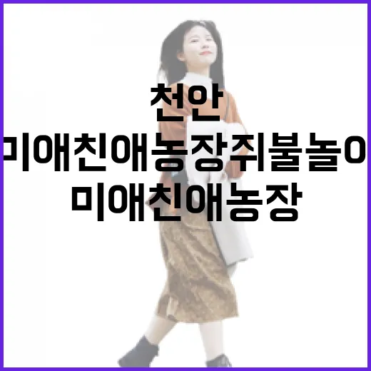 천안 미애친애 농장 쥐불놀이 체험 현장