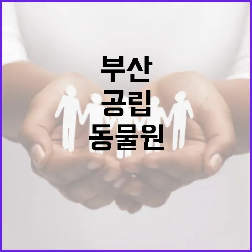 부산 초읍 동물원, 공립 전환으로 새 출발