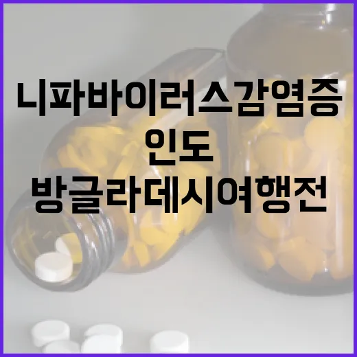 니파바이러스 감염증, 인도·방글라데시 여행 전 필독