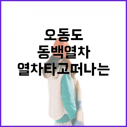 동백열차 타고 떠나는 여수 오동도 효도여행