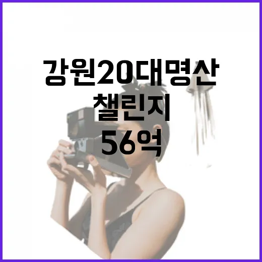 56억 경제효과 기대 강원 20대 명산 챌린지 개막