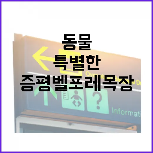 증평 벨포레목장, 자연과 동물의 특별한 만남