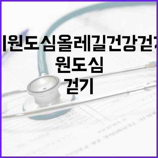제주시 원도심 올레길 건강걷기 행사 개최