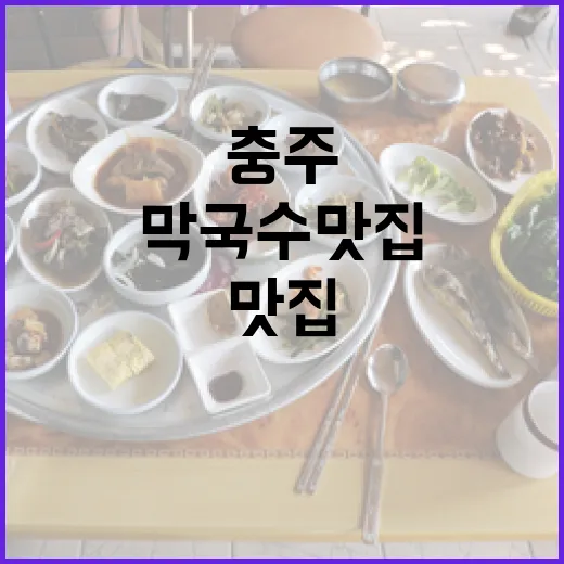 충주 남한강 속 막국수 맛집