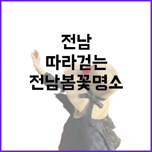 전남 봄꽃 명소 따라 걷는 봄 향기