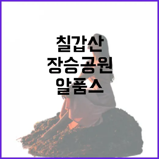 칠갑산 알품스·장승공원 생명과 전통의 만남
