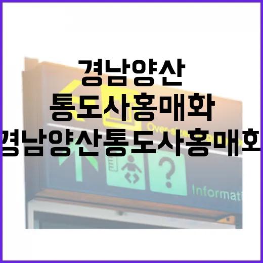 경남 양산 통도사 홍매화 촬영 가이드