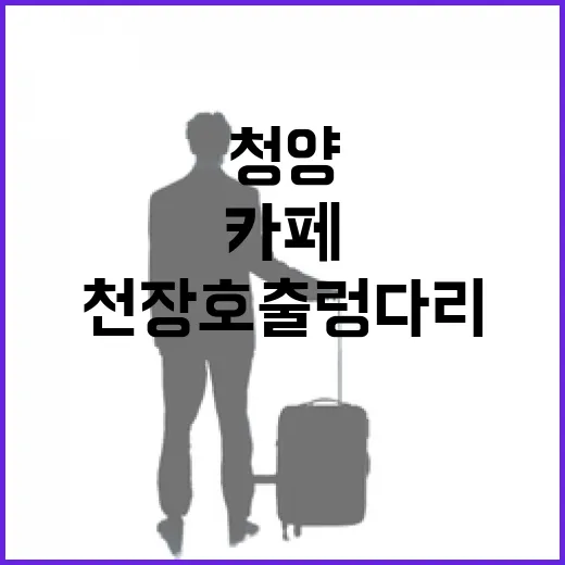 청양 천장호 출렁다리 인근 감성 카페 5선
