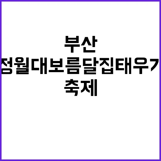 부산 정월대보름 달집태우기 축제 총정리