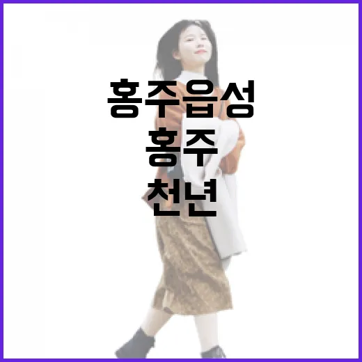 홍주읍성에서 만나는 천년 역사 산책