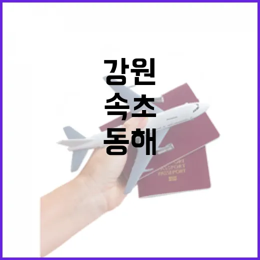 3월 강원 속초·동해 봄 여행 명소