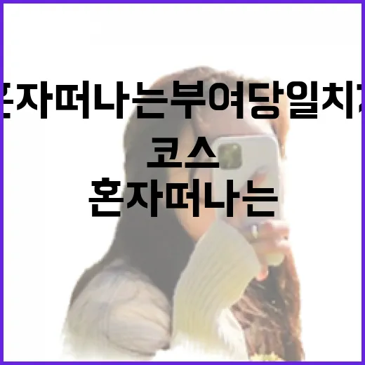 혼자 떠나는 부여 당일치기 완벽 코스
