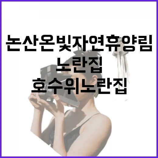 논산 온빛자연휴양림, 호수 위 노란 집의 매력