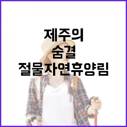 제주의 숨결, 절물자연휴양림 이야기