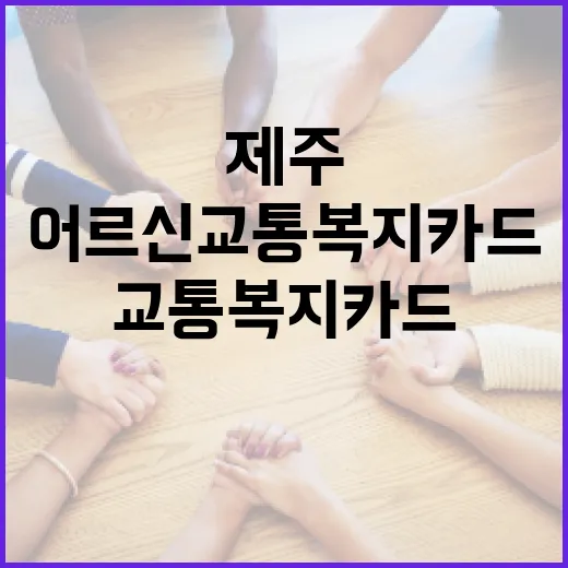 제주 어르신 교통복지카드 실태와 이용법