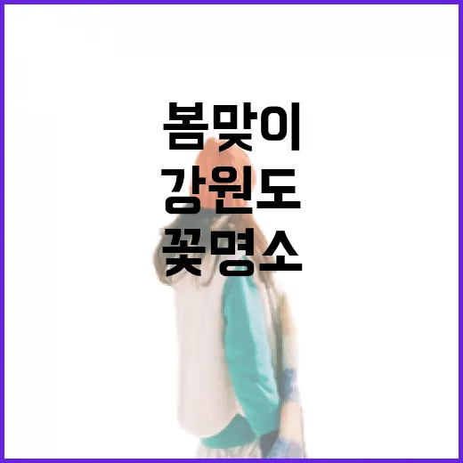 봄맞이 강원도 유채꽃 명소 3선