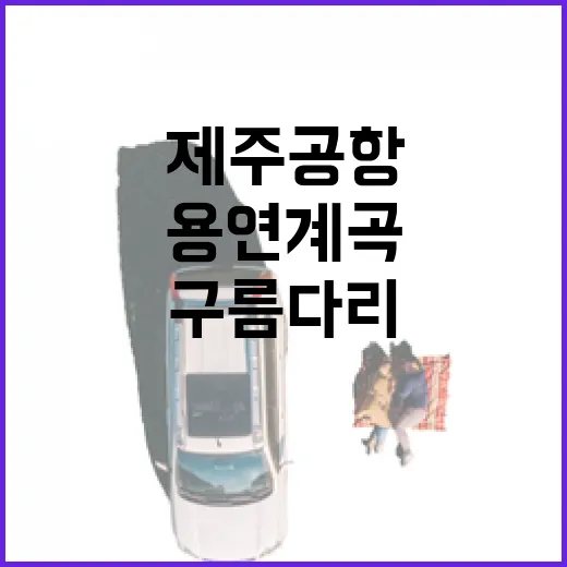 제주공항 인근 용연계곡과 구름다리 산책
