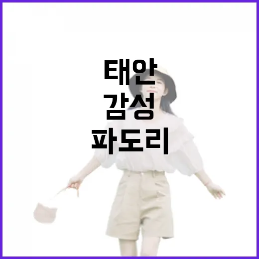 태안 파도리 해변, 감성 가득한 바다 산책