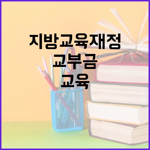 지방교육재정 특별교부금, 신청 기반 교부 원칙 확인