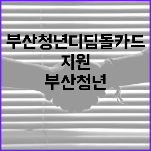부산 청년디딤돌카드+ 6개월 지원 시작
