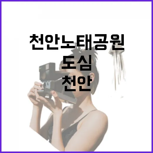 천안 노태공원, 도심 속 자연 쉼터