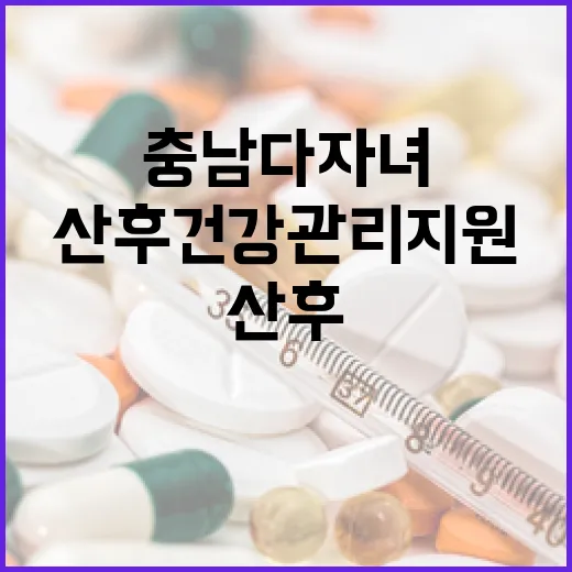 충남 다자녀 산후건강관리 지원 확대