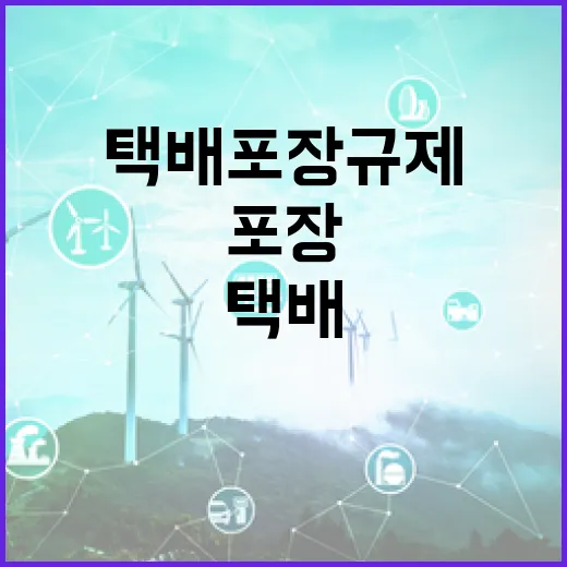 택배 포장규제 세부기준 마련, 플라스틱 감축 가속