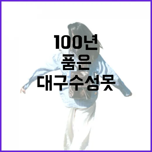 대구 수성못, 100년 역사 품은 문화명소 산책길