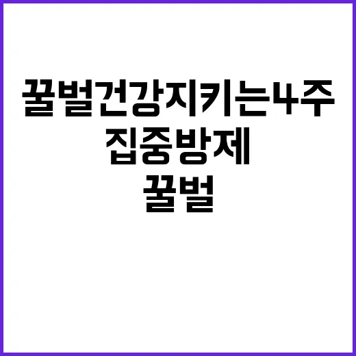 꿀벌 건강 지키는 …