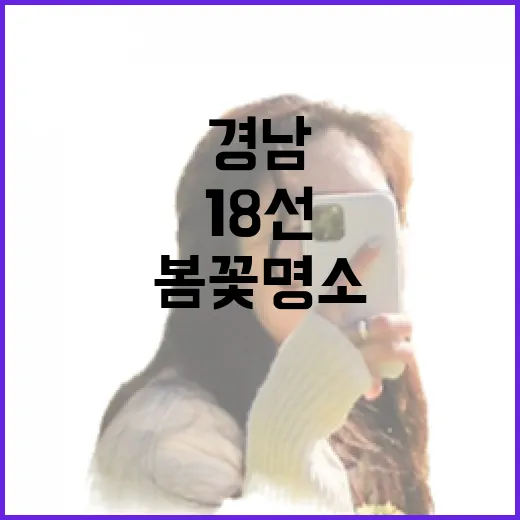 경남 봄꽃 명소 18선, 인생샷 명소 총집합