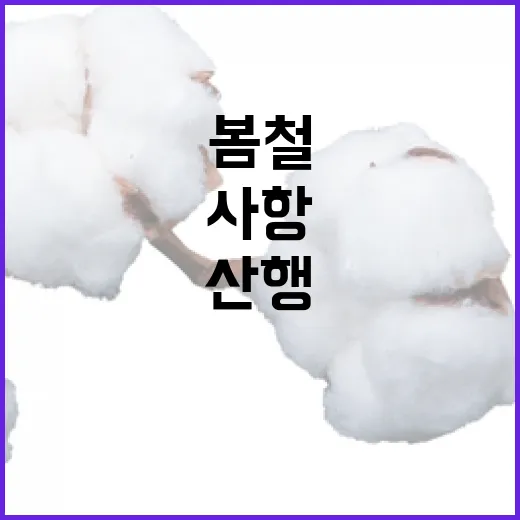 봄철 산불 예방, 산행 전 필수 점검사항