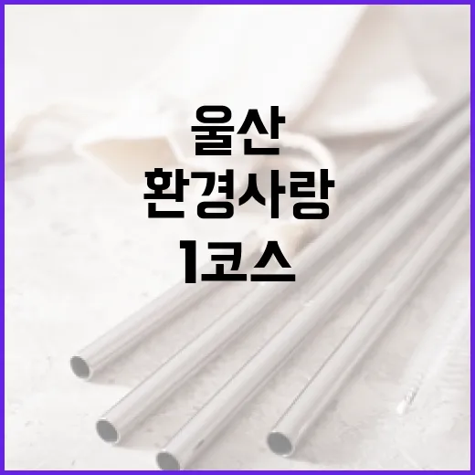 울산 은하수 다리 환경사랑 1코스 탐방기