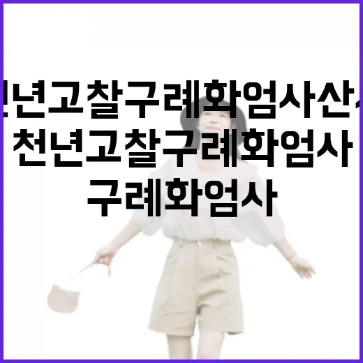 천년 고찰 구례 화엄사 산사의 사계