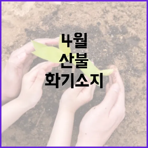 3·4월 산불 집중, 화기 소지 엄격 금지