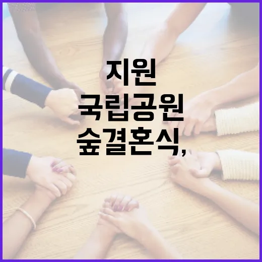 국립공원 숲 결혼식, 50쌍 무료 지원 시작