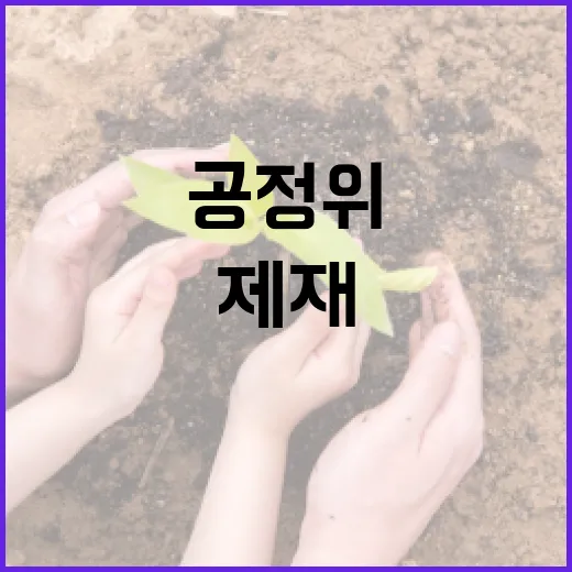 장례식장 뒷돈 관행 첫 제재, 공정위 감시 강화