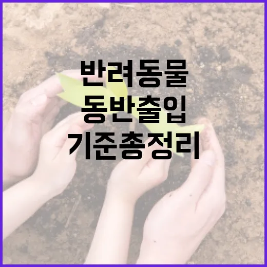 반려동물과 음식점 동반 출입 기준 총정리