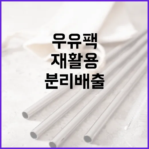 우유팩 분리배출 현장 점검, 공주 재활용센터의 실태