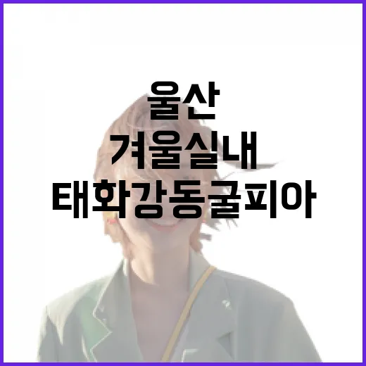 울산 태화강 동굴피아, 겨울 실내 명소