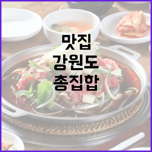 강원도 전 맛집 총집합