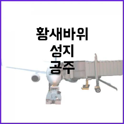 337인의 이름이 깃든 공주 황새바위 성지